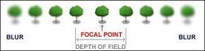 Focal Point and Depth of Field